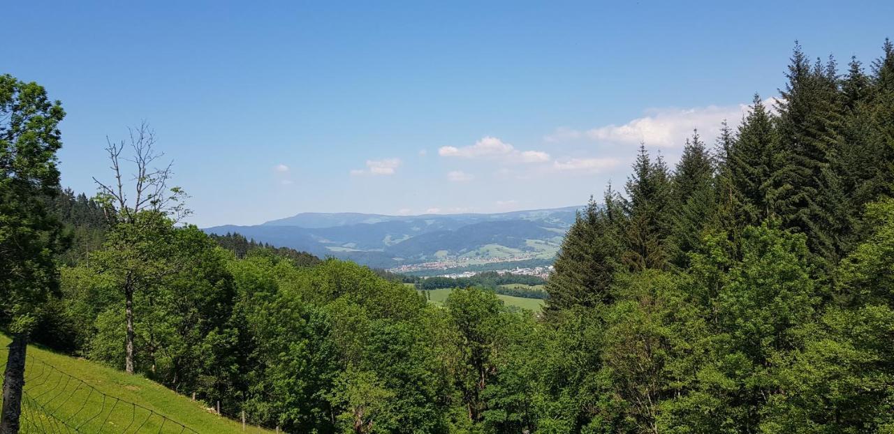 Gasthaus Sternen Post Oberried  Eksteriør billede