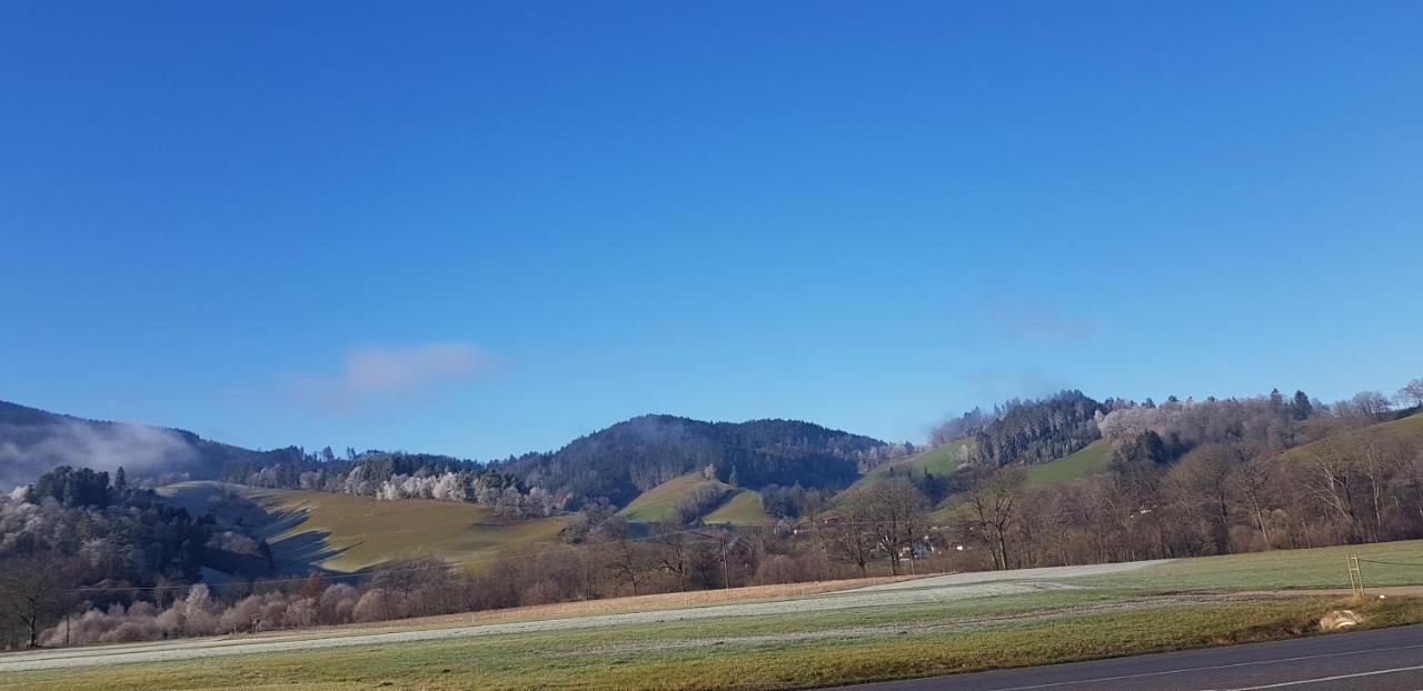 Gasthaus Sternen Post Oberried  Eksteriør billede